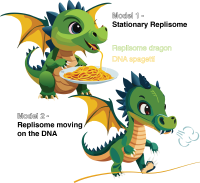 image from drakar.png